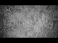 Colorado RattleCam Livestream