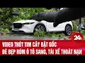 Download Lagu Video thót tim cây bật gốc đè bẹp rúm ô tô sang, tài xế thoát nạn | Toàn cảnh 24h