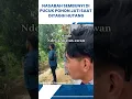Download Lagu Seorang Nasabah Sembunyi Di Pucuk Pohon Jati Saat Ditagih Hutang.