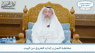        مخاطبة النمل و إنذاره للخروج من البيت   عثمان الخميس دندنها