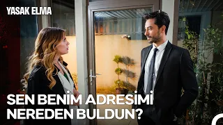 Yalı Vlogu #39: Yeni Ev, Yeni İş ,Yeni Aşk -Yasak Elma