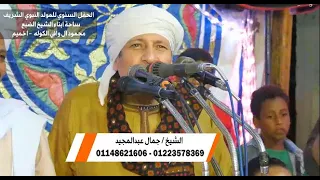سطى ساطى في المدينة تعتع الحراس   الشيخ جمال عبدالمجيد دندنها