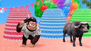 Wild Animals Turn Into Rainbow Colors - 3D Animal Color Adventure