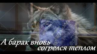 Garik Garik А барак вновь согрелся теплом 
