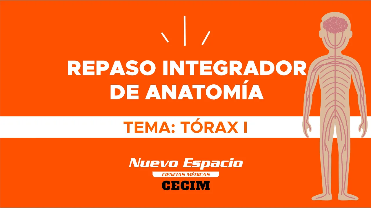 TÓRAX I - Repaso integrador de Anatomía