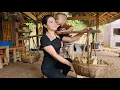 Download Lagu Go Through Many Difficult Steps to Make Delicious Banana Cakes and Bring Them to the Market to Sell.