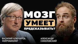 Какую ошибку люди совершают всю жизнь? Нейробиолог Василий Ключарёв