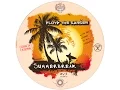 Download Lagu Floyd the Barber – Big Beat \u0026 Breakbeat 2013 mix (vol 16)