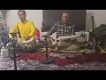 Download Lagu Classical performance Rubab By Ramin Saqizada Tabla By Sharif Khan