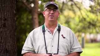 Birding Basics Beyond Birding by Habitat