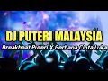 Download Lagu Dj Puteri X Gerhana Cinta Luka Breakbeat Melody Full bass 2021