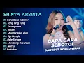 Download Lagu Shinta Arsinta - GARA GARA SEBOTOL MINUMAN - TANG TING TUNG || DANGDUT KOPLO HITS 2025