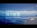 [Sky Piano] 海の幽霊 (Spirits of the Sea / 바다의 유령) | 米津玄師 (Yonezu Kenshi)