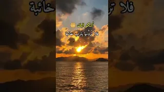 أشكو اليك أمورا أنت تعلمها مالي على حملها صبر ولا جلد الدكتور مبروك زيد الخير 