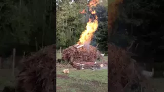 Burn day