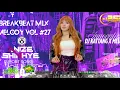 DJ ANIZE SHINHYE SEPENUH HATI X NAN KOPAHAM BREAKBEAT VOL 27