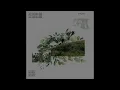 Shallou - Pacifica (echoed. remix)