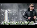Download Lagu Dj Sanyika Sprinkle 2024 mix
