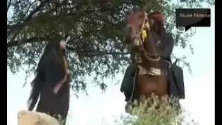 اغنيه يا قاضي يا قاضينا الهااام 