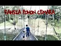 Download Lagu RAHSIA POHON CEMARA / EXIST voc EZAD / LIRIK
