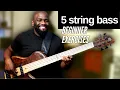 5 String Bass Guitar 4 Exercises for Beginners