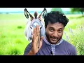 Download Lagu Story of a Donkey 🤏