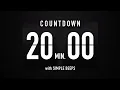 20 Minutes Countdown Timer Flip Clock with Simple Beeps