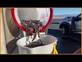 Plane releases thousands of fish into lakes in Utah