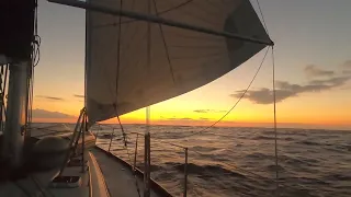 Sailing Downwind, Wing on Wing