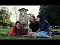 Northeastern University Oakland