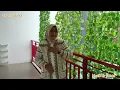 Download Lagu Lagu Makian Sedih_ KANGELAN MAMA LO BABA