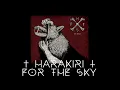 Harakiri For The Sky - Song To Say Goodby (Placebo guitar cover)