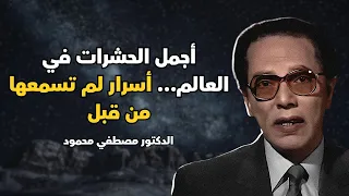 ملكات جمال الحشرات الدكتور مصطفي محمود 