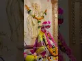 Download Lagu Shree Swami Samarth Maharaj WhatsApp Status Video #maharaj #ytshorts #video #status #swamisamarth