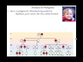 Lecture 8 - Pedigrees and Genetic Testing