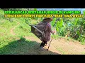 Download Lagu Nestapa Lansia Di Tanah Kaya..Rumah Sudah Patah Hanya Bisa Pasrah