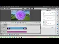 Premiere Elements - Full Tutorial for Beginners
