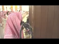 Download Lagu Surah Al-Waqiah | Muhammad Al-Luhaidan | 2019/1440 Ramadan Taraweeh