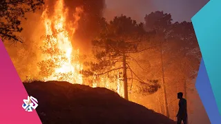 بعد تونس والجزائر حرائق ضخمة تلتهم غابات شفشاون في المغرب شبابيك 