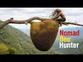 Lagu A Dangerous Wild Honey Hunt High in the Jungle Tree