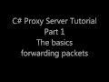C Proxy Server tutorial - Part 1