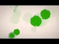 Lagu Green screen ink drop | photo slideshow | New ink photo slideshow |