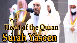Download Surah Yaseen with English translation | Sheikh Yasser al Dossari Beautiful Recitation MP3