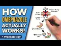 Omeprazole in 15 Minutes Mechanism Dosing Side Effects Clinical Pearls