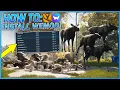 How To Install WeMod For theHunter Call Of The Wild