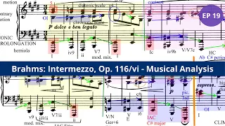 Counterpoint and Motivic Development in Brahms Intermezzo Op 116 No 6 EP 19