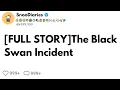 FULL STORY The black swan incident