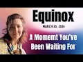 Equinox The Moment You ve Been Waiting For March 20 2026 Astrology