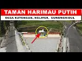 Download Lagu Taman Harimau Putih, Desa KATONGAN  Nglipar, Gunungkidul | Ikon baru wisata Katongan