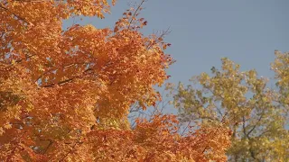 The Old Farmers Almanac 2026 fall forecast What it predicts for US weather